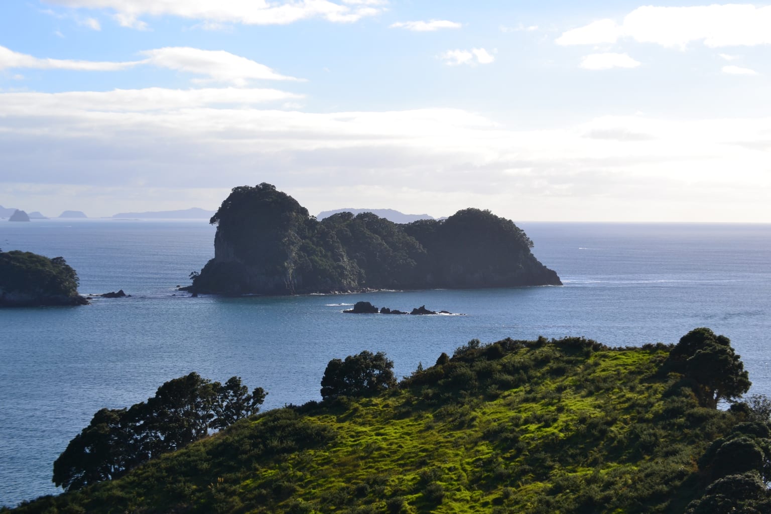 Seaside cliffs in New Zealand.